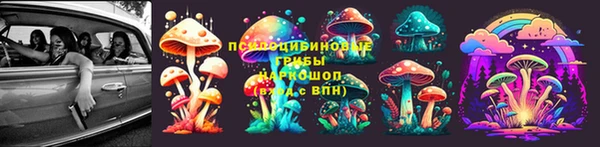 эйфоретик Алексин