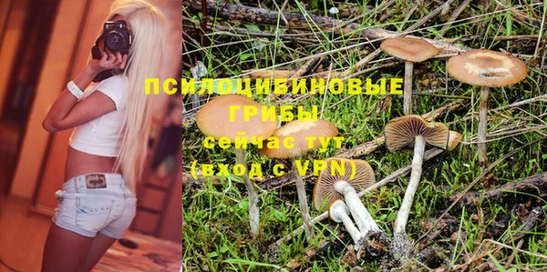эйфоретик Алексин