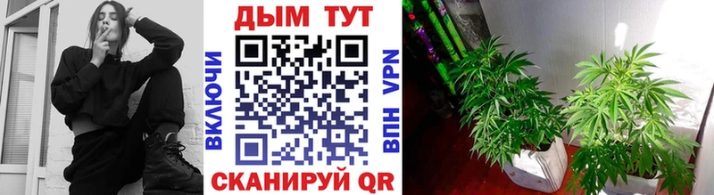 Канабис Ganja  где купить   Керчь 